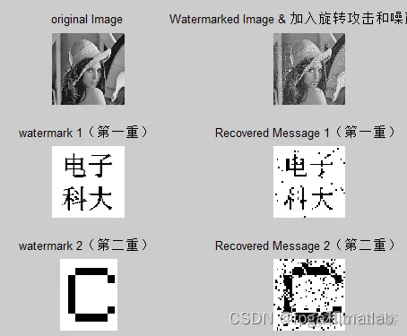 基于DCT变换和PN序列的数字水印嵌入和提取matlab仿真_水印编码_07